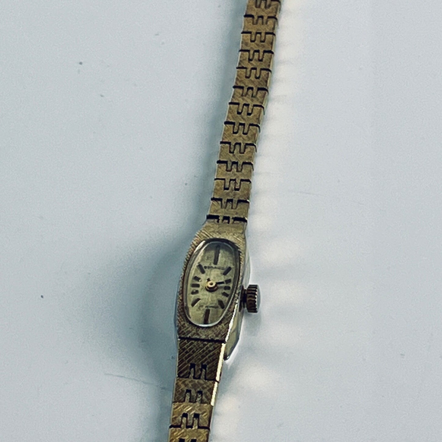 7977647