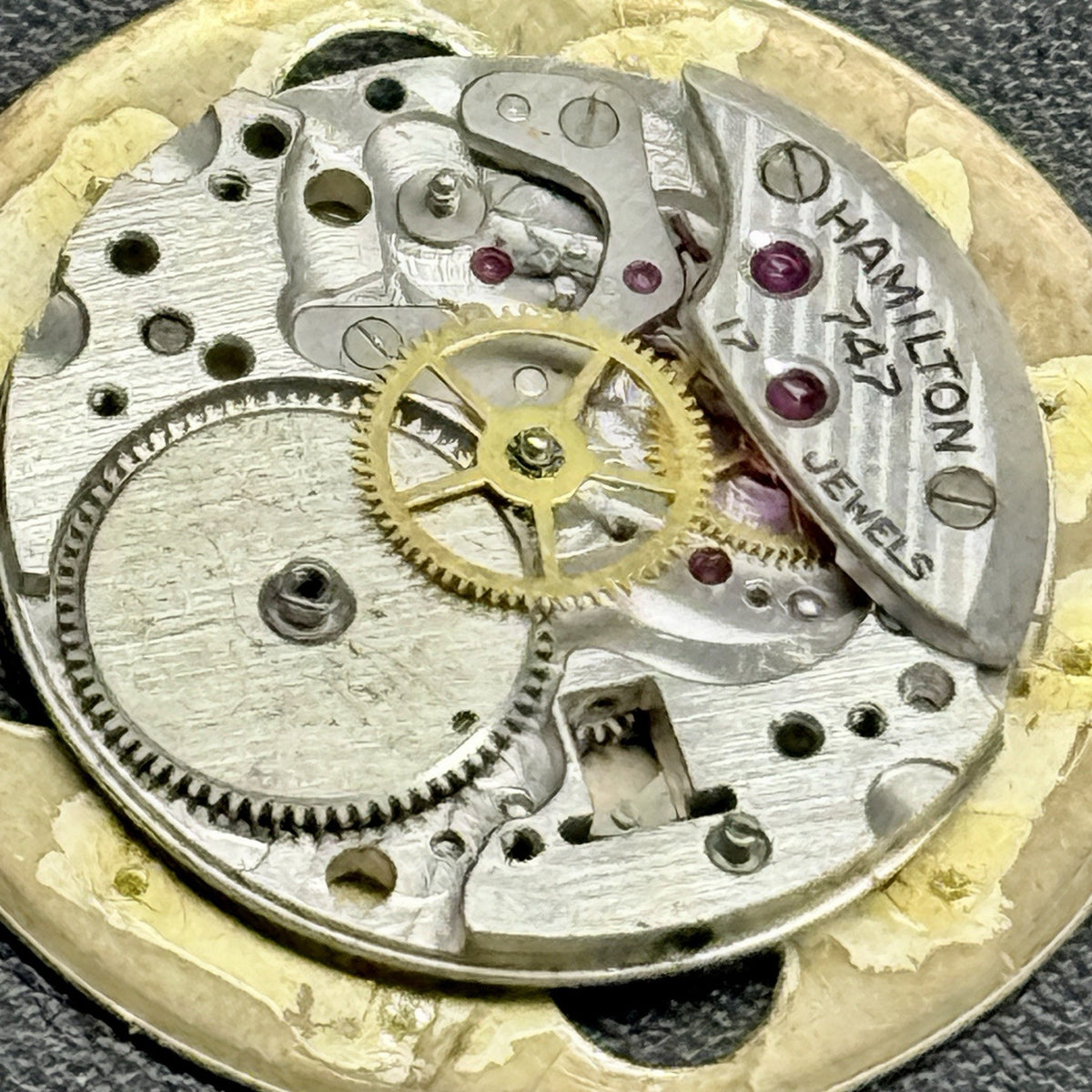 9013743